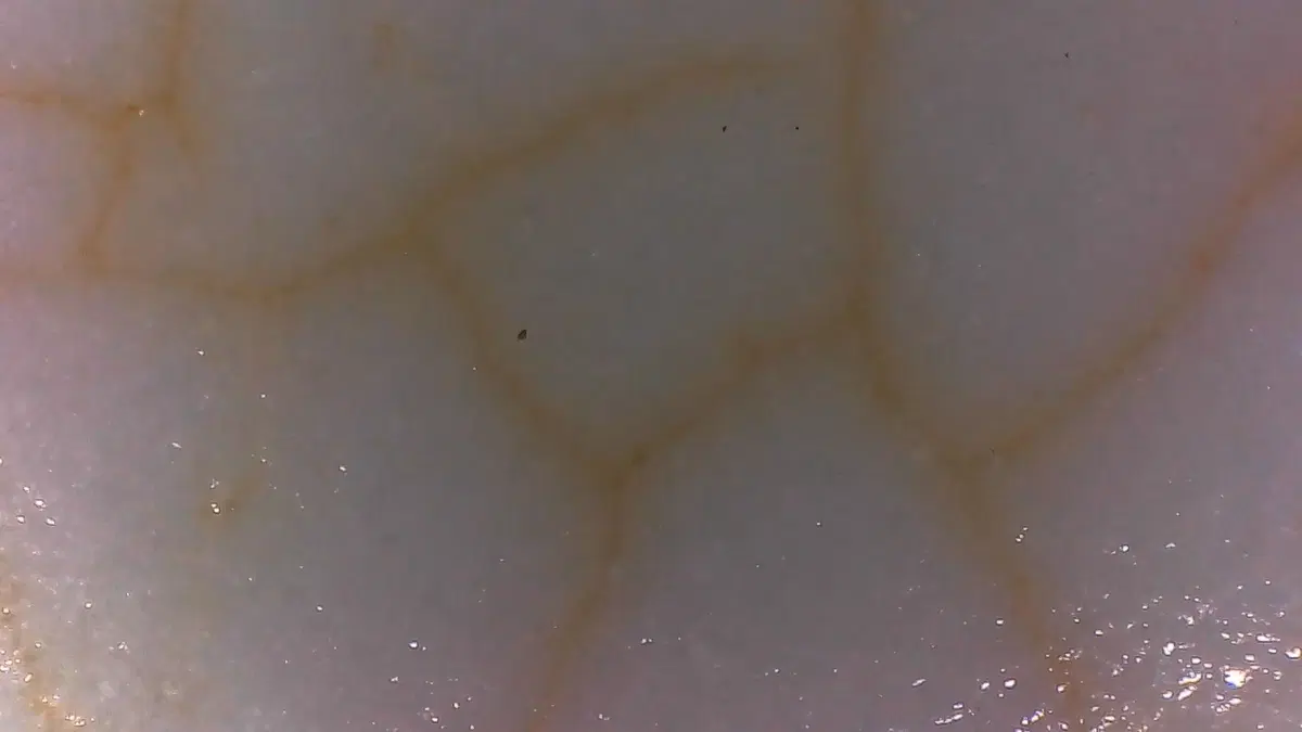 thumbnail-11